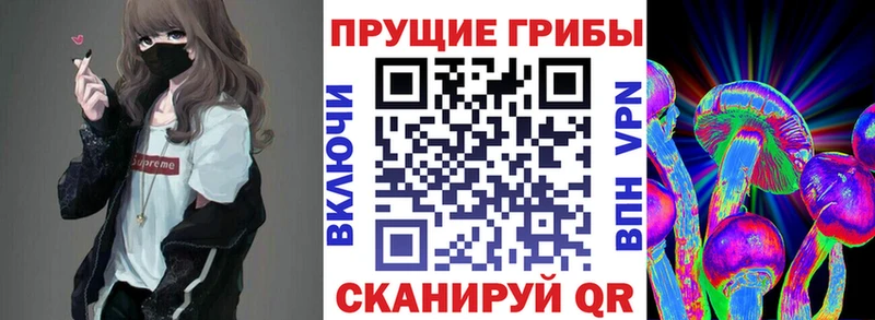 mega ссылка  Ангарск  Псилоцибиновые грибы Magic Shrooms 